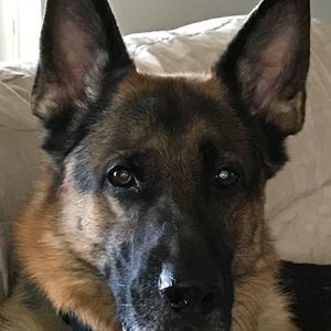 Meet your Posher, Dave